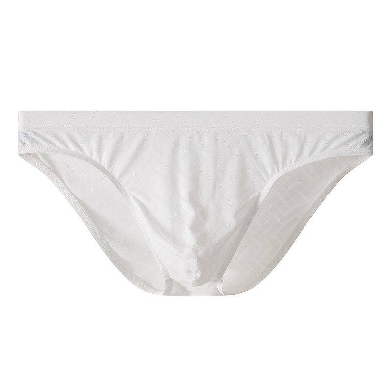 Mens Ice-silk Transparent Briefs Thin Low-rise Sexy photo 2