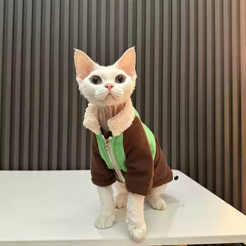 Double-layered Thickened Adjustable Fleece Coat For Hairless Cats Sphynx And Devon Rex photo 3