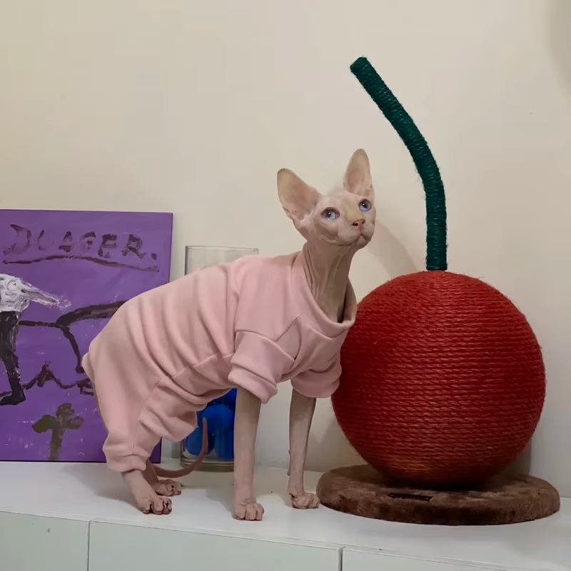 Sphynx Cat Four-legged Pajamas Soft Fleece Warm Jumpsuit Winter Clothing For Hairless Cats Kittens Devon Rex photo 1