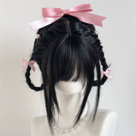 Womens Wig Wispy Bangs Long Straight Black Hair Braided Updo photo 6