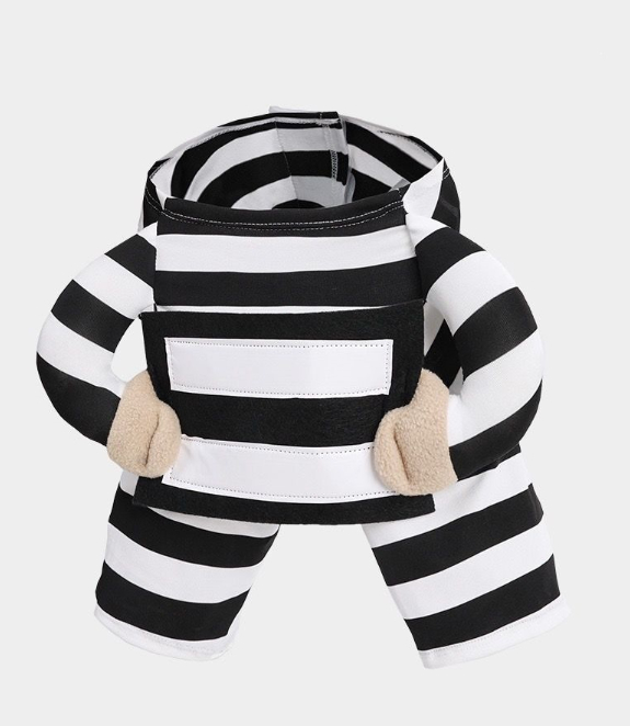 Personalized Halloween Dog Prisoner Pet Costume photo 5