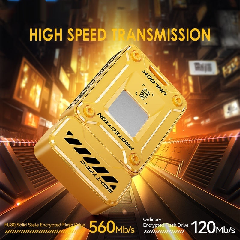 Fingerprint Encryption Luxury USB Drive photo 6