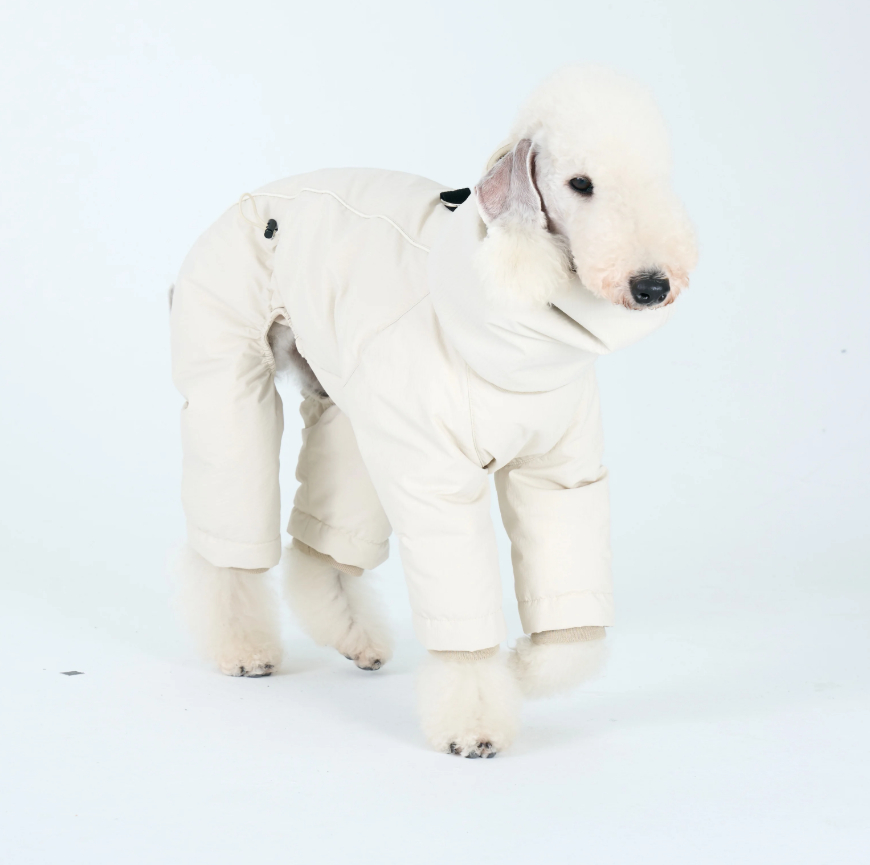 Winter Warm Down Jacket For Medium-sized Dogs Made With White Duck Down photo 5