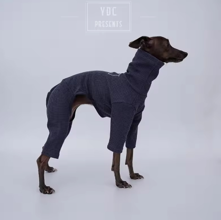 Italian Greyhound Whippet And Terrier Soft Base-Layer Four-Piece Outfit photo 4