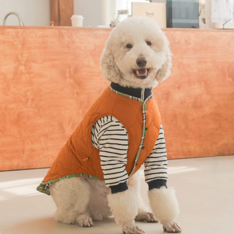 Thermal Protection Labrador Golden Retriever Samoyed Premium Pet Clothing photo 1
