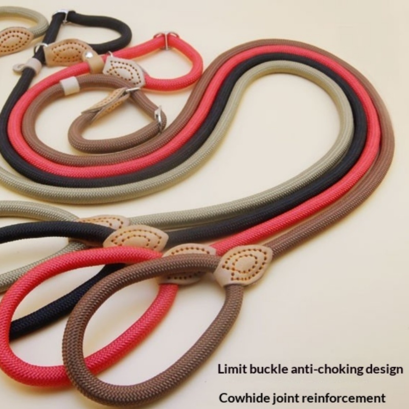 Extended And Thickened Pet Leash For Dogs photo 1