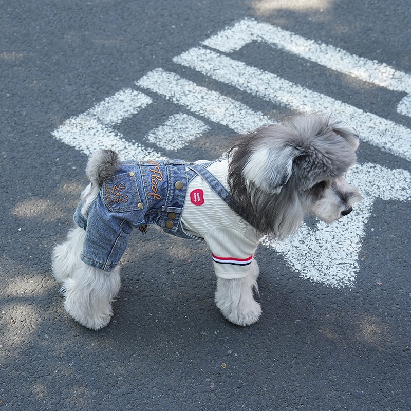 Pet's Four-Season Casual Denim Overalls With Vintage Embroidery photo 1