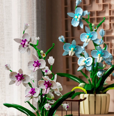 High-grade Orchid Preserved Two-tone Petal Assembly Building Block Flower Creative Decorative Piece photo 2