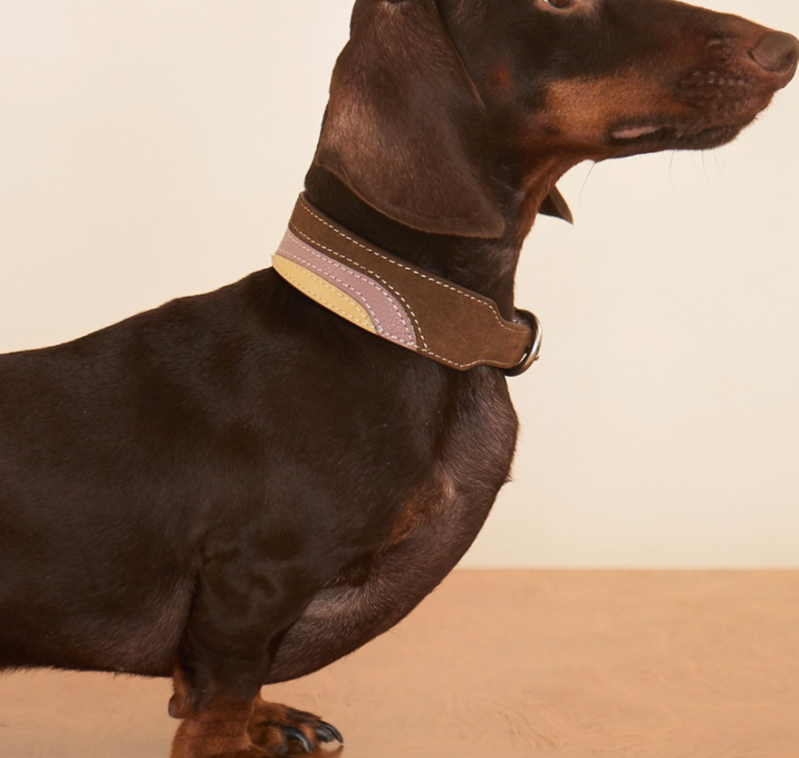 Pet Multi-color Cowhide Collar Universal Fit photo 4