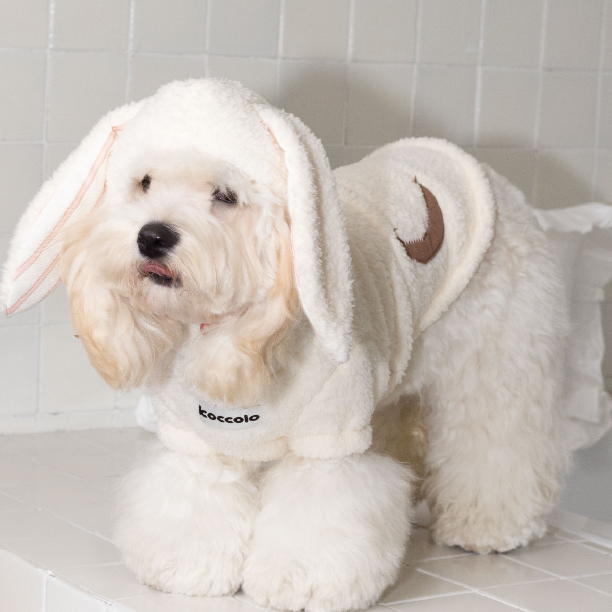 Plush Cozy Bunny Ear Pajamas Cute Dogcatdachshund Design photo 1